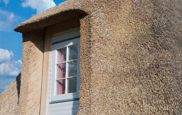 Horpit thatch roof disadvantages