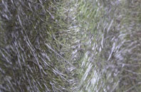 Horpit fibreglass roof work