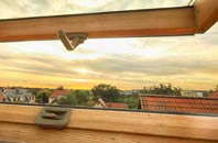 rated Horpit roof window companies